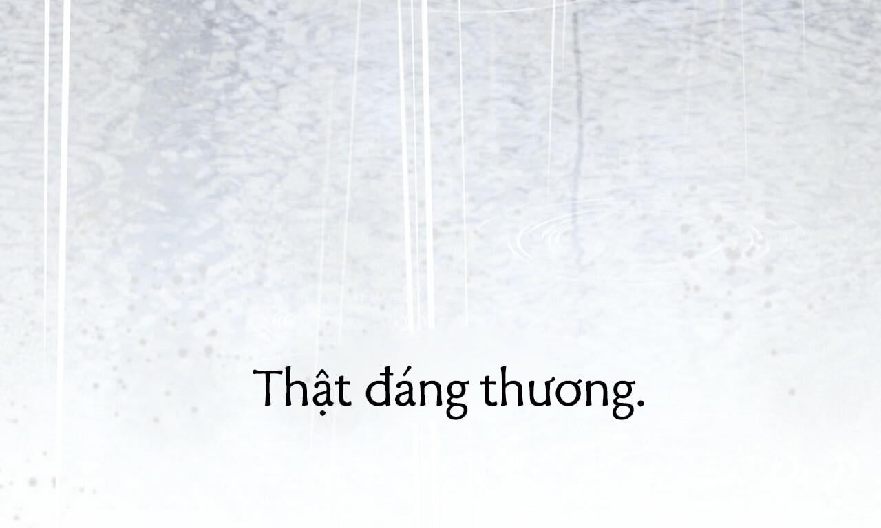 đọc truyện Những Chú Thỏ Của Hapypy Chương 35 ảnh 9 tại Giả Dược