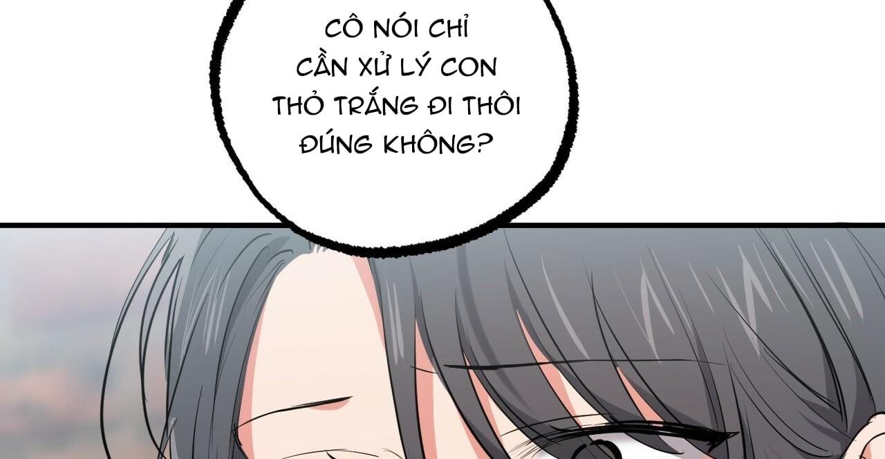 đọc truyện Những Chú Thỏ Của Hapypy Chương 36 ảnh 101 tại Giả Dược