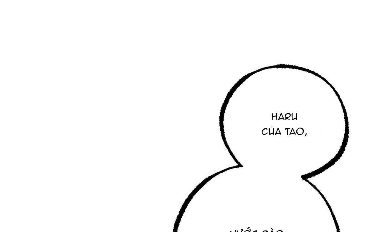 đọc truyện Những Chú Thỏ Của Hapypy Chương 36 ảnh 13 tại Giả Dược