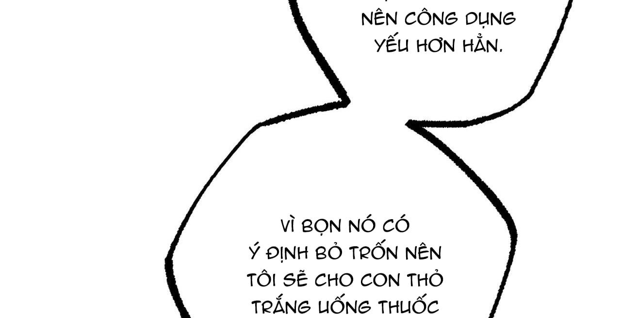 đọc truyện Những Chú Thỏ Của Hapypy Chương 36 ảnh 134 tại Giả Dược