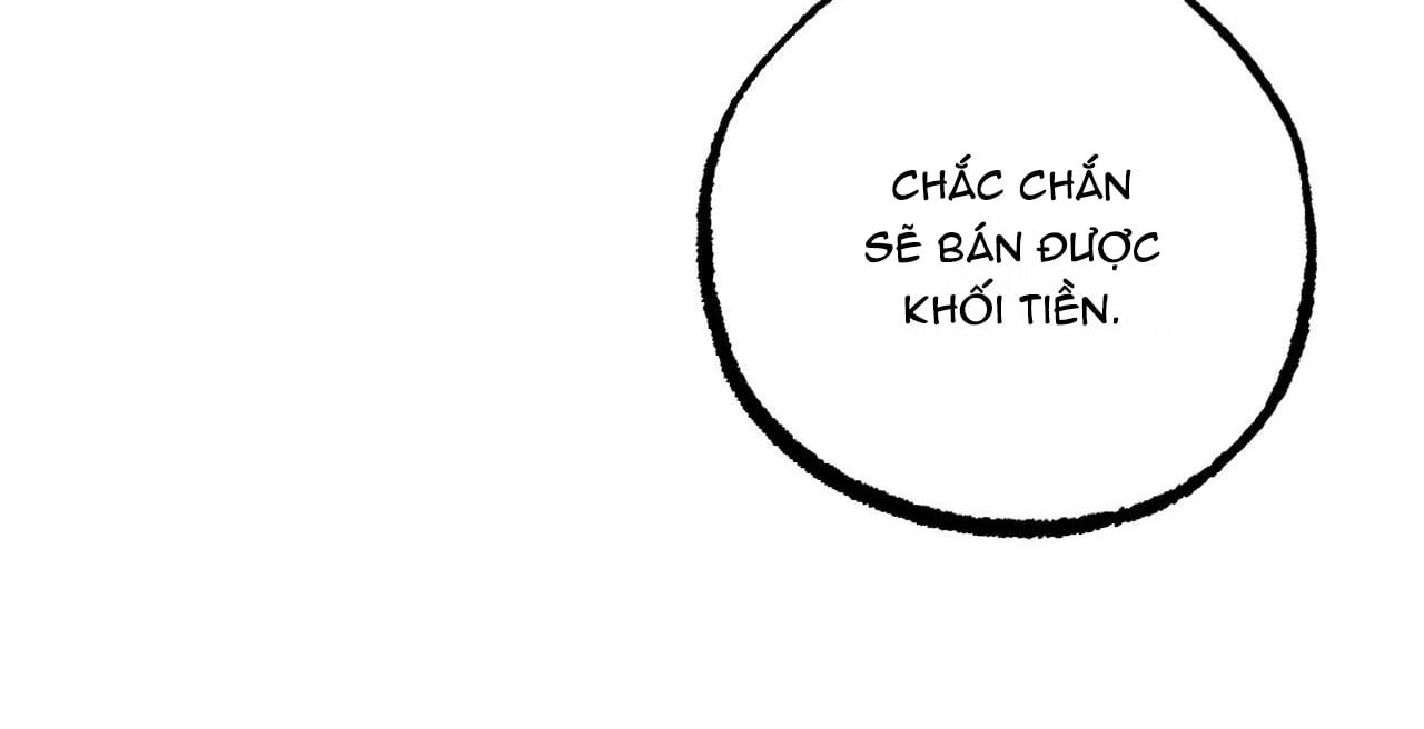 đọc truyện Những Chú Thỏ Của Hapypy Chương 36 ảnh 158 tại Giả Dược