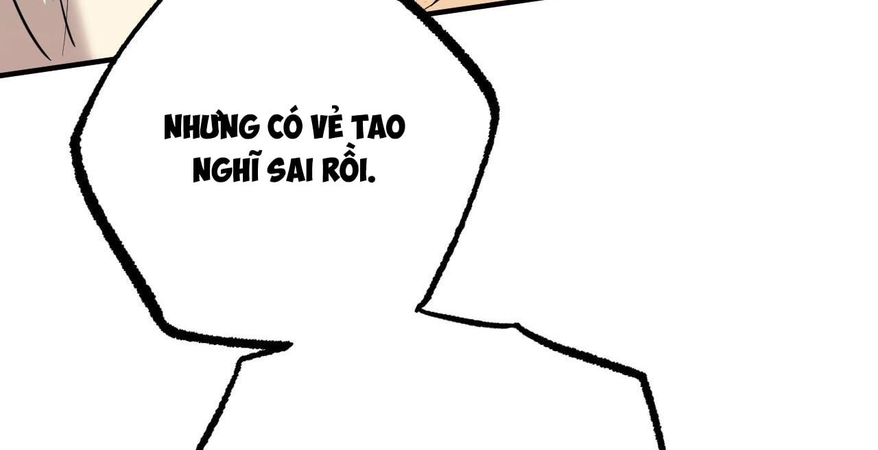 đọc truyện Những Chú Thỏ Của Hapypy Chương 36 ảnh 217 tại Giả Dược