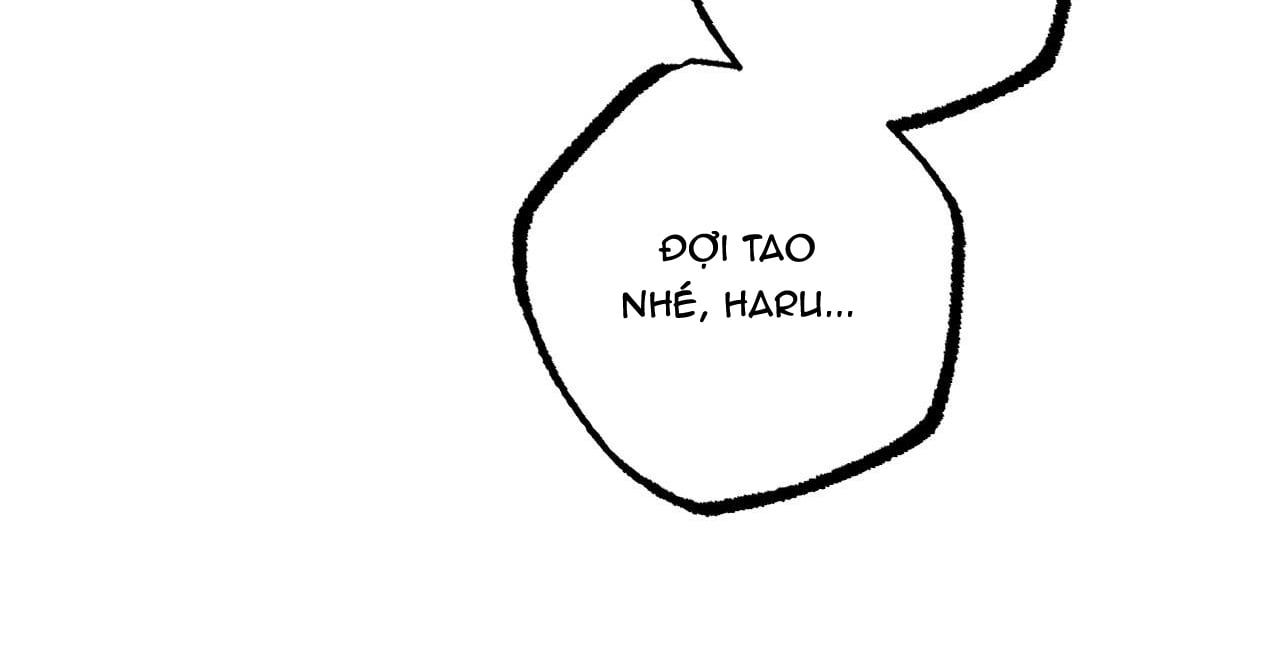 đọc truyện Những Chú Thỏ Của Hapypy Chương 36 ảnh 224 tại Giả Dược