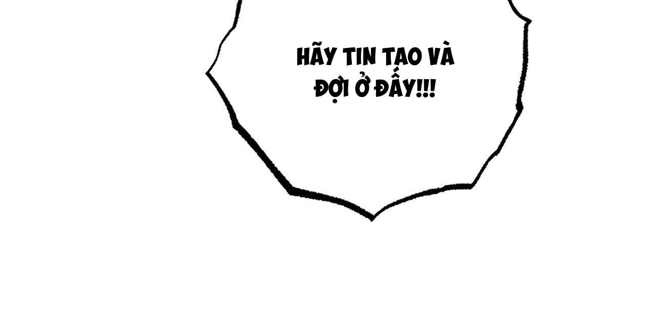 đọc truyện Những Chú Thỏ Của Hapypy Chương 36 ảnh 228 tại Giả Dược