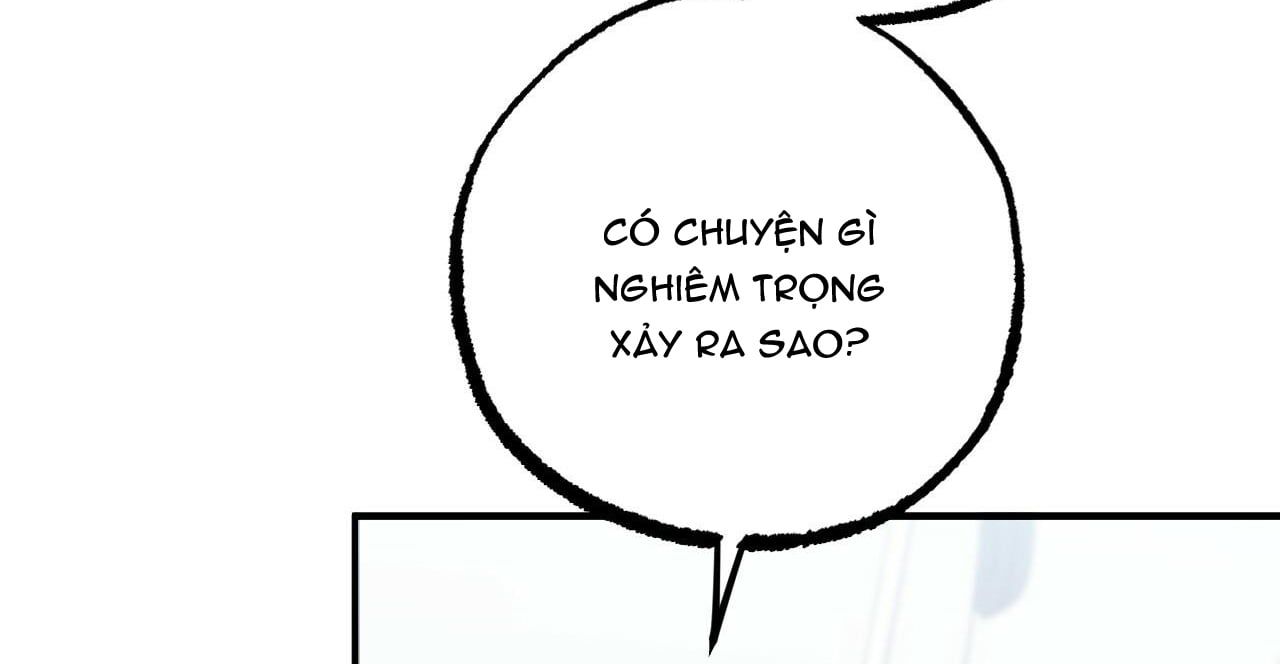 đọc truyện Những Chú Thỏ Của Hapypy Chương 36 ảnh 251 tại Giả Dược