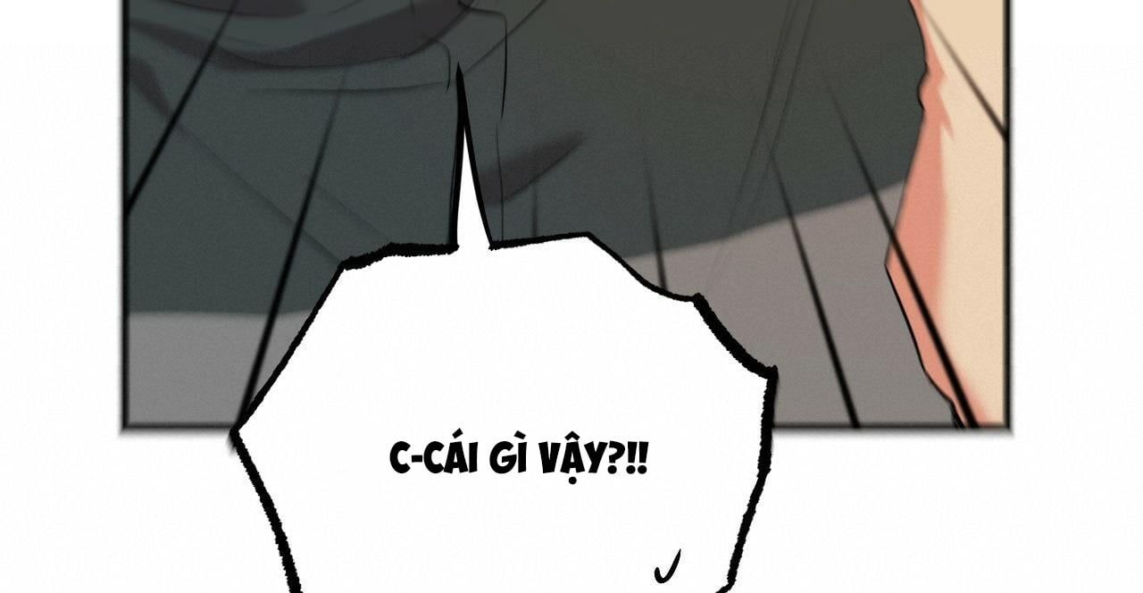 đọc truyện Những Chú Thỏ Của Hapypy Chương 36 ảnh 271 tại Giả Dược