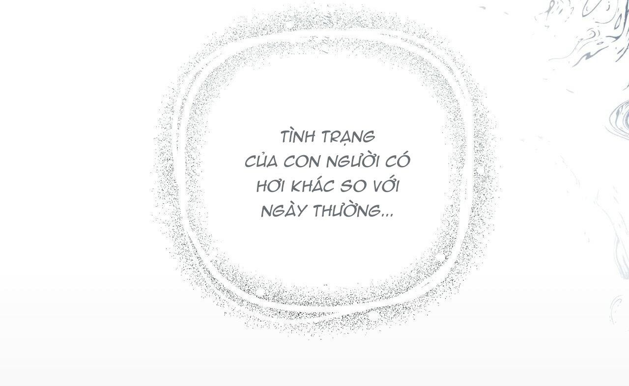 đọc truyện Những Chú Thỏ Của Hapypy Chương 36 ảnh 29 tại Giả Dược