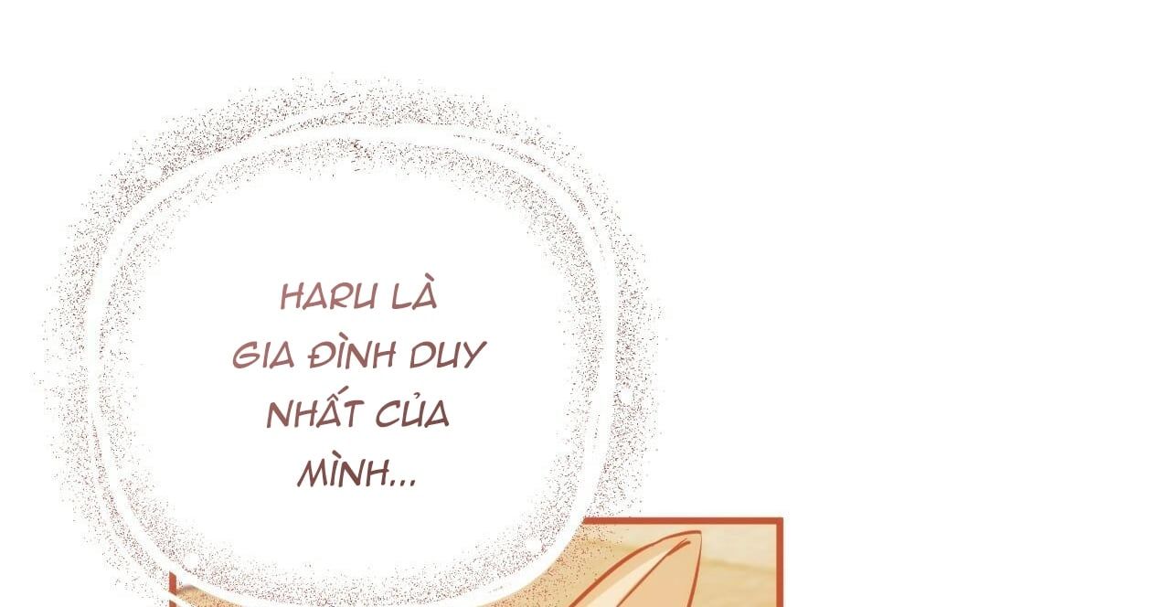 đọc truyện Những Chú Thỏ Của Hapypy Chương 36 ảnh 346 tại Giả Dược