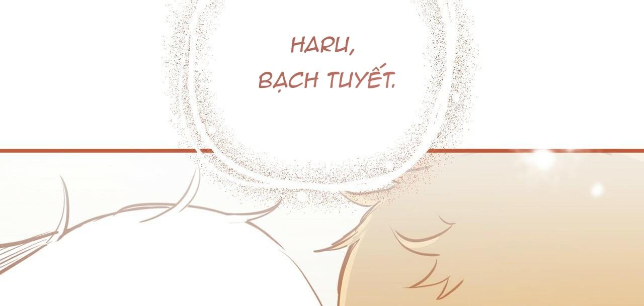 đọc truyện Những Chú Thỏ Của Hapypy Chương 36 ảnh 359 tại Giả Dược