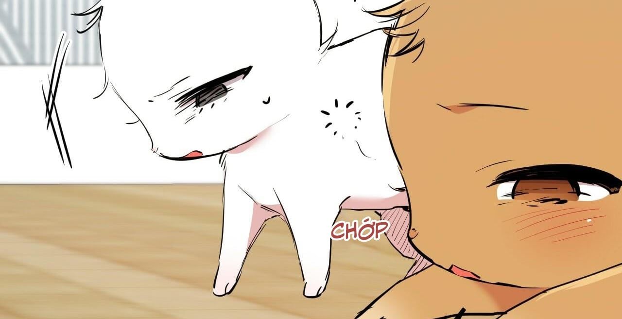 đọc truyện Những Chú Thỏ Của Hapypy Chương 36 ảnh 69 tại Giả Dược