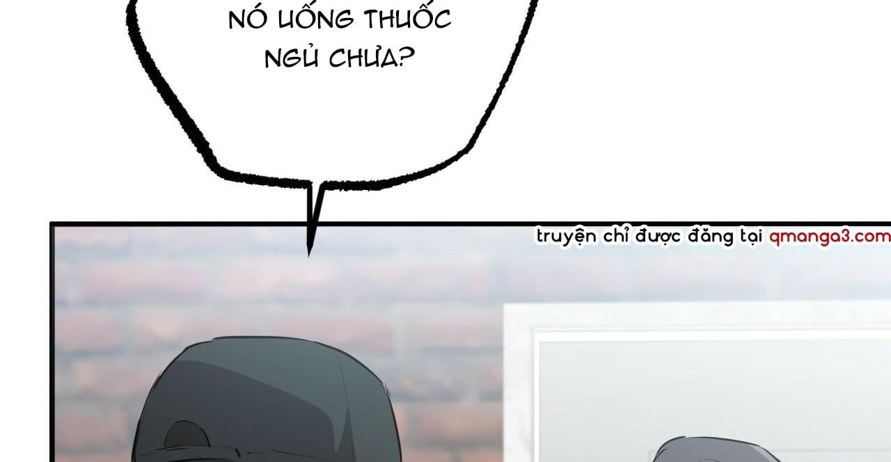 đọc truyện Những Chú Thỏ Của Hapypy Chương 36 ảnh 95 tại Giả Dược