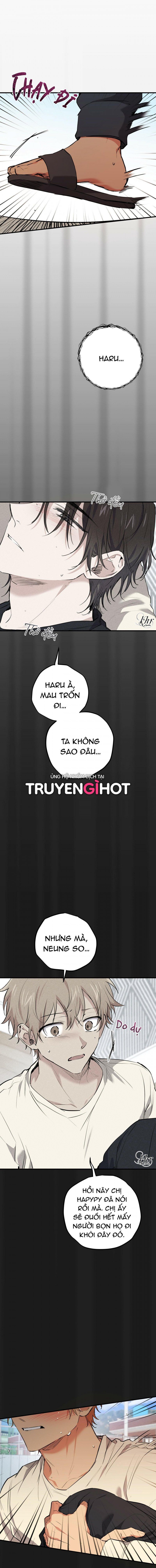 đọc truyện Những Chú Thỏ Của Hapypy Chương 37 ảnh 2 tại Giả Dược