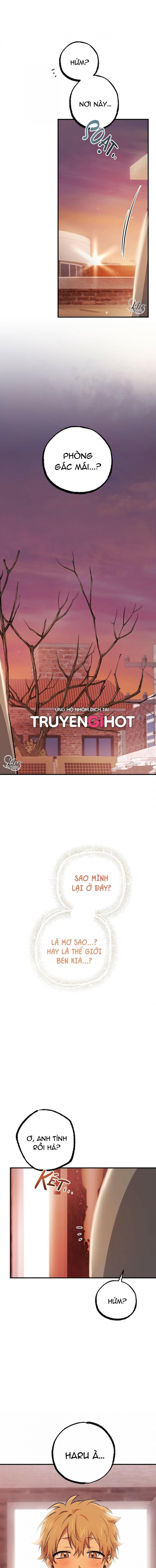 đọc truyện Những Chú Thỏ Của Hapypy Chương 37 ảnh 9 tại Giả Dược