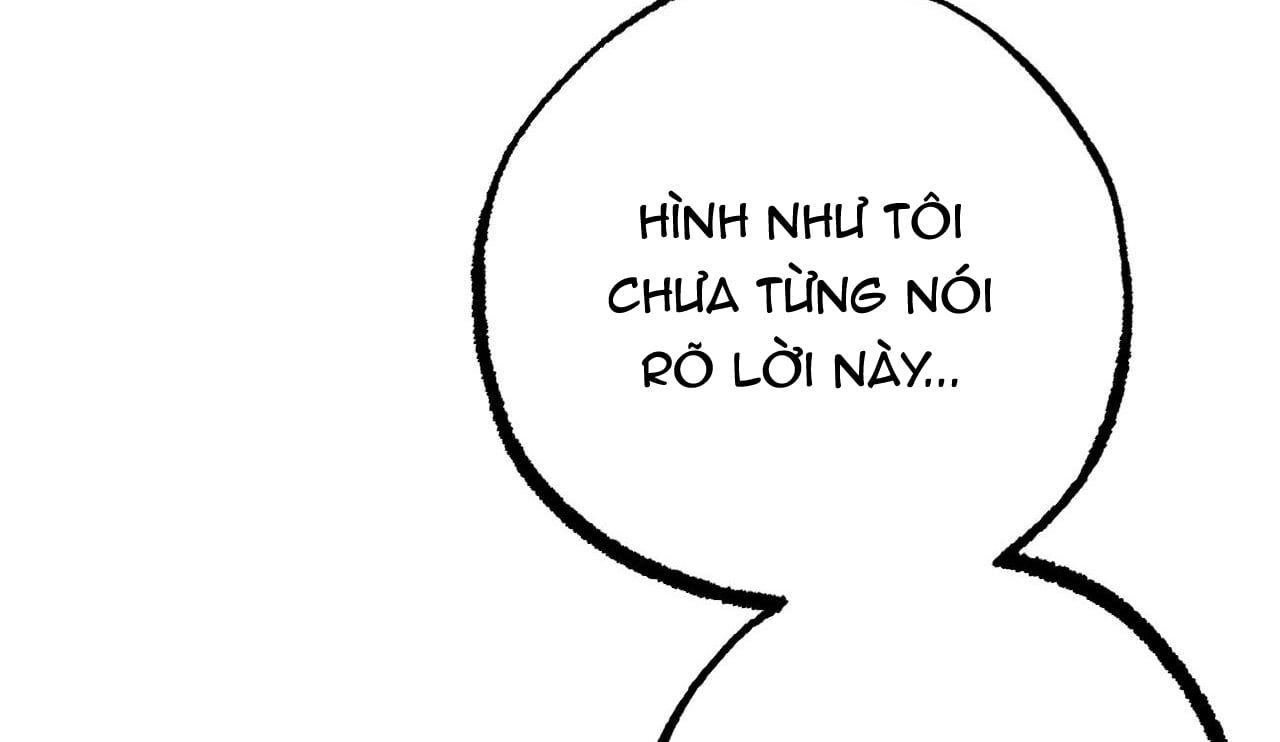 đọc truyện Những Chú Thỏ Của Hapypy Chương 38 ảnh 218 tại Giả Dược
