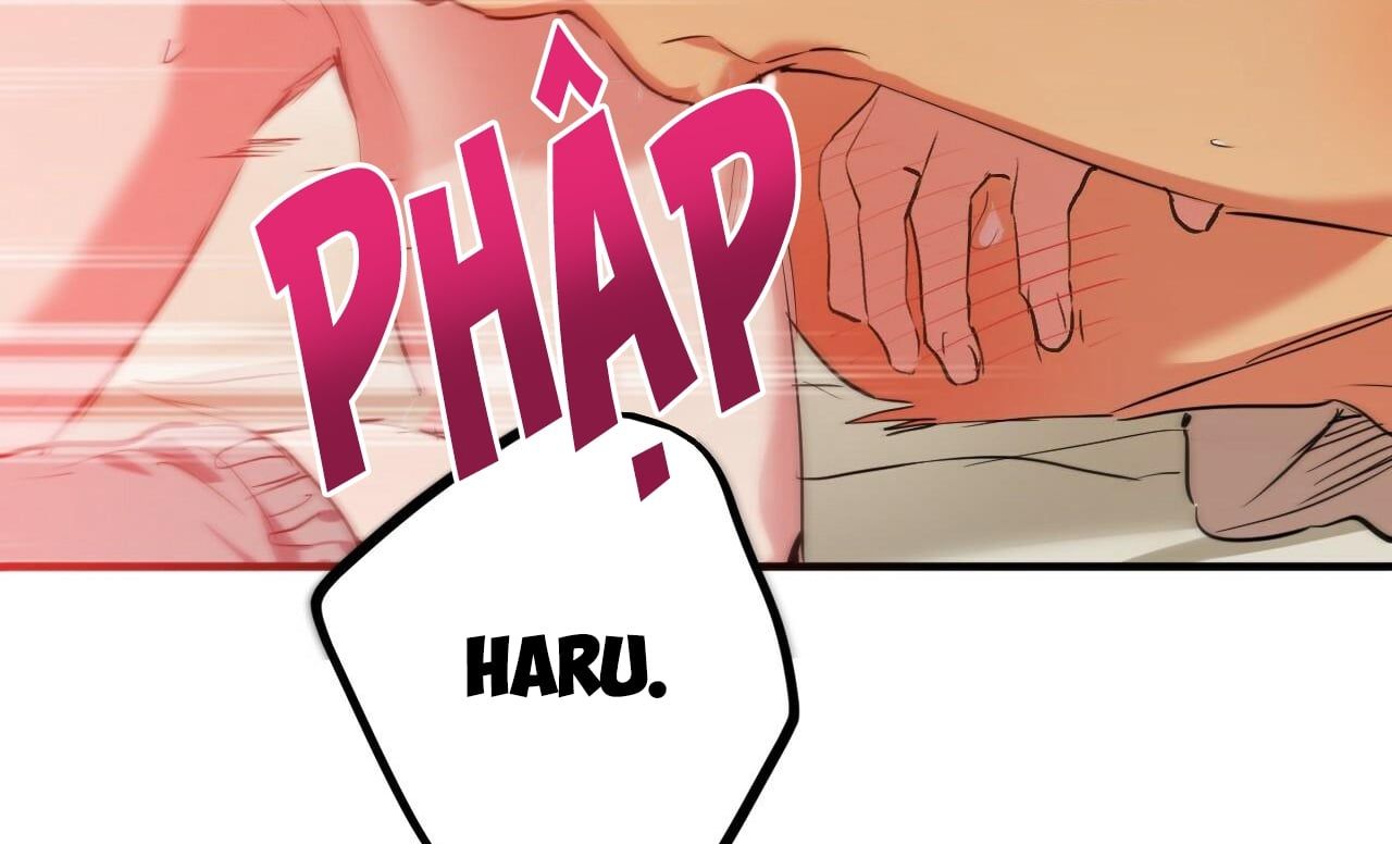 đọc truyện Những Chú Thỏ Của Hapypy Chương 38 ảnh 245 tại Giả Dược