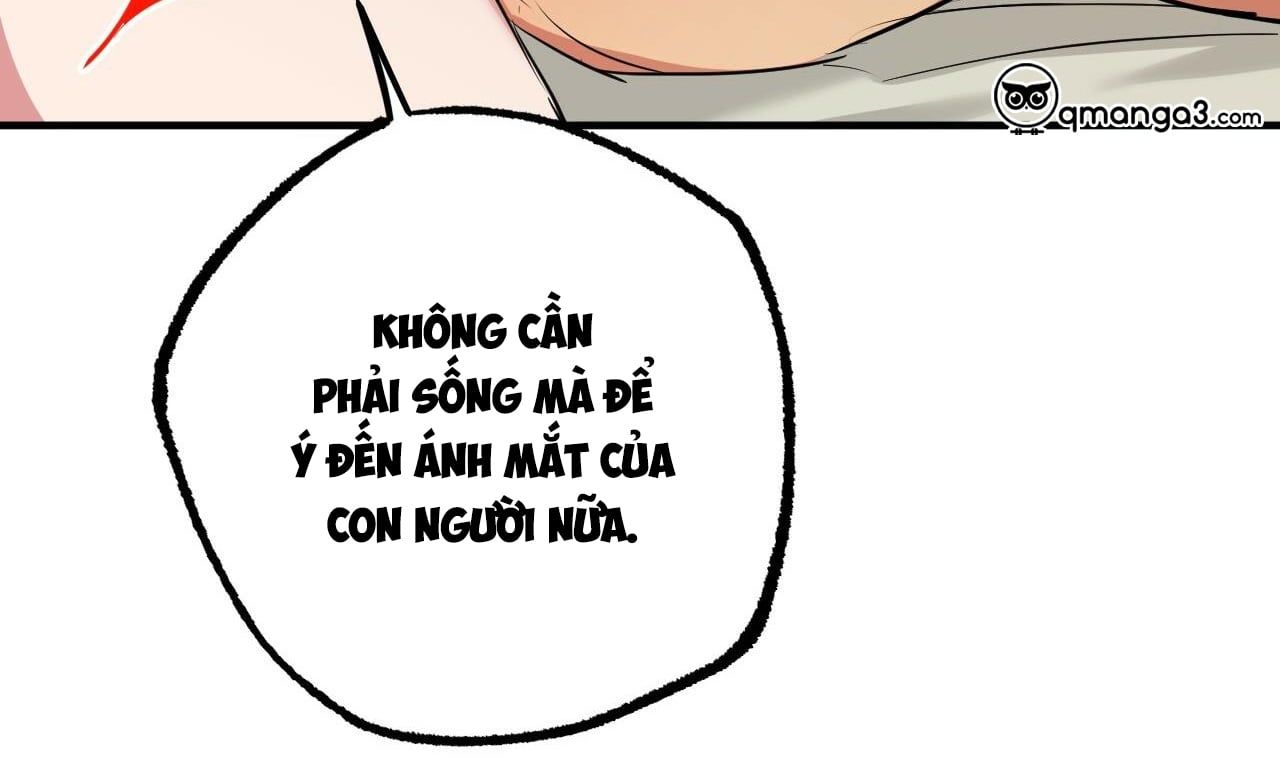 đọc truyện Những Chú Thỏ Của Hapypy Chương 38 ảnh 250 tại Giả Dược