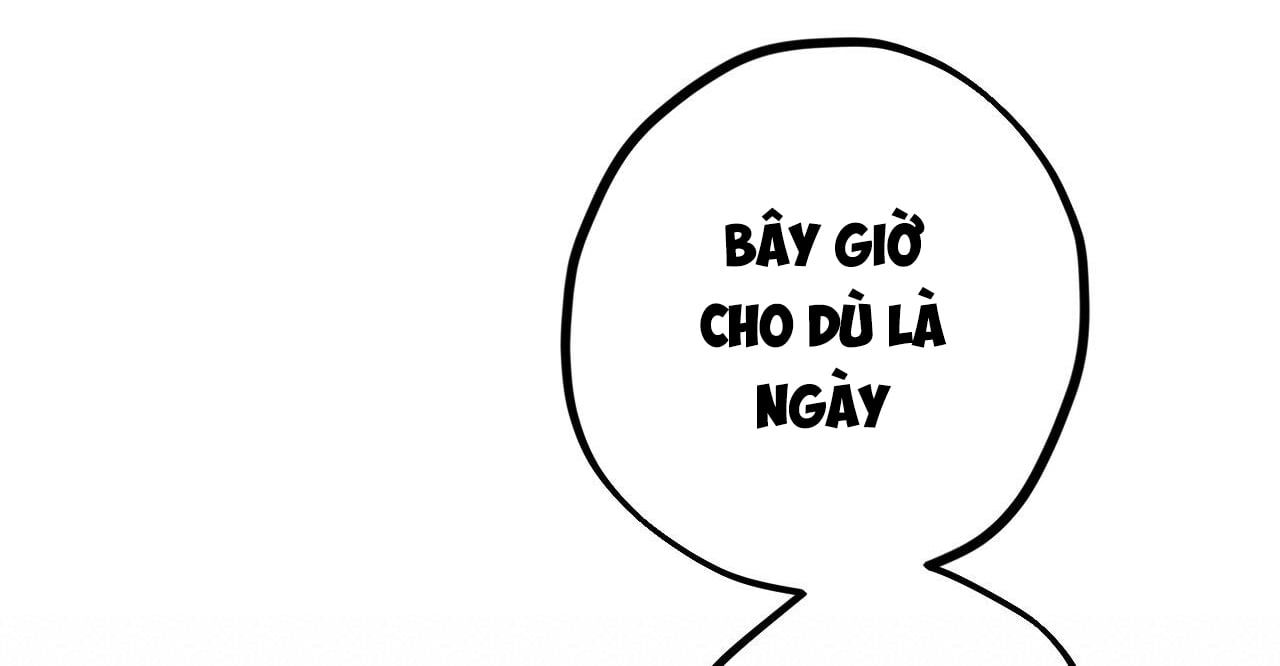 đọc truyện Những Chú Thỏ Của Hapypy Chương 38 ảnh 253 tại Giả Dược