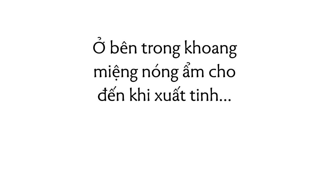 đọc truyện Những Chú Thỏ Của Hapypy Chương 38 ảnh 46 tại Giả Dược