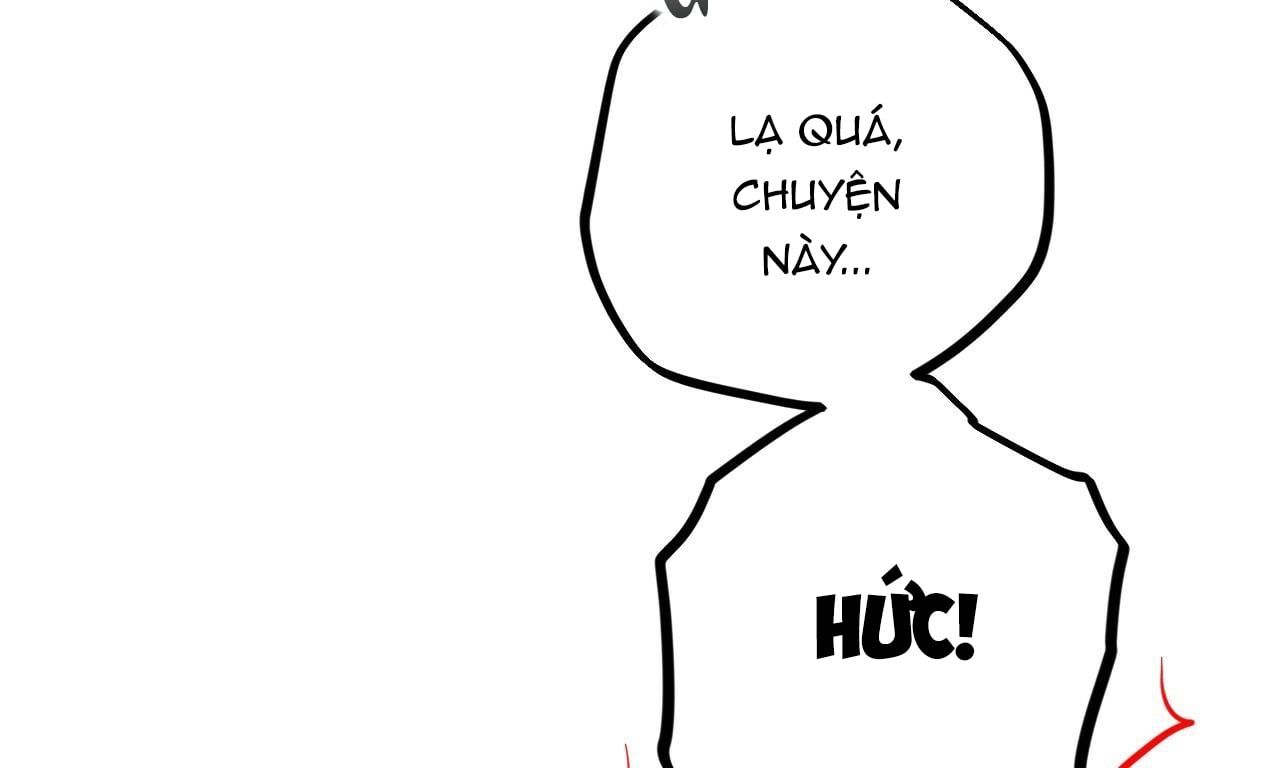 đọc truyện Những Chú Thỏ Của Hapypy Chương 38 ảnh 87 tại Giả Dược