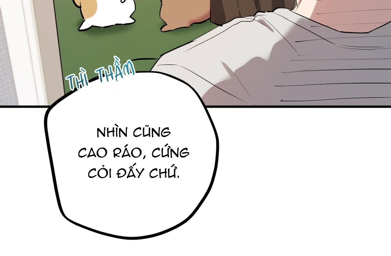 đọc truyện Những Chú Thỏ Của Hapypy Chương 39 ảnh 152 tại Giả Dược