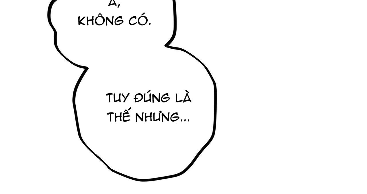đọc truyện Những Chú Thỏ Của Hapypy Chương 39 ảnh 166 tại Giả Dược
