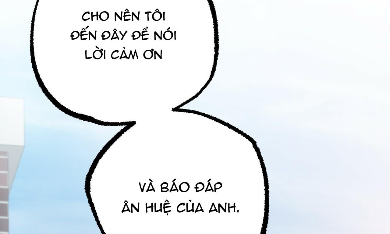 đọc truyện Những Chú Thỏ Của Hapypy Chương 39 ảnh 265 tại Giả Dược