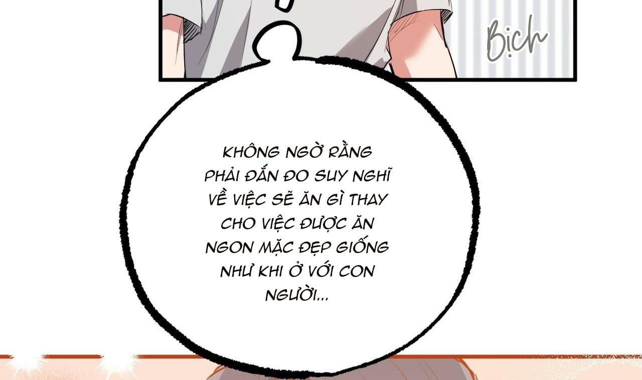 đọc truyện Những Chú Thỏ Của Hapypy Chương 39 ảnh 56 tại Giả Dược