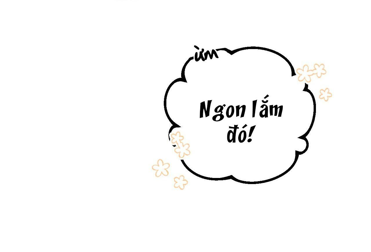 đọc truyện Những Chú Thỏ Của Hapypy Chương 4 ảnh 51 tại Giả Dược