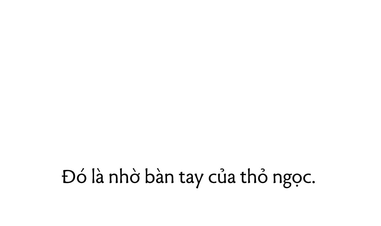 đọc truyện Những Chú Thỏ Của Hapypy Chương 40 ảnh 225 tại Giả Dược