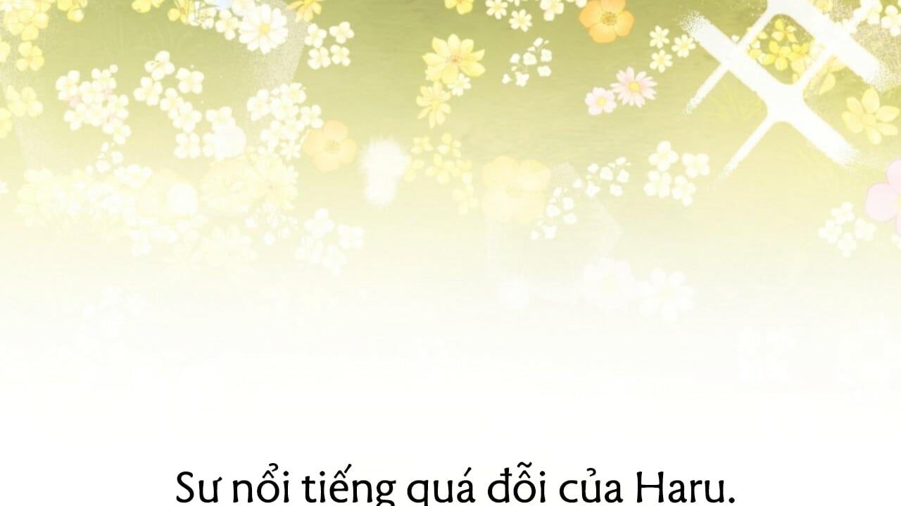 đọc truyện Những Chú Thỏ Của Hapypy Chương 40 ảnh 258 tại Giả Dược