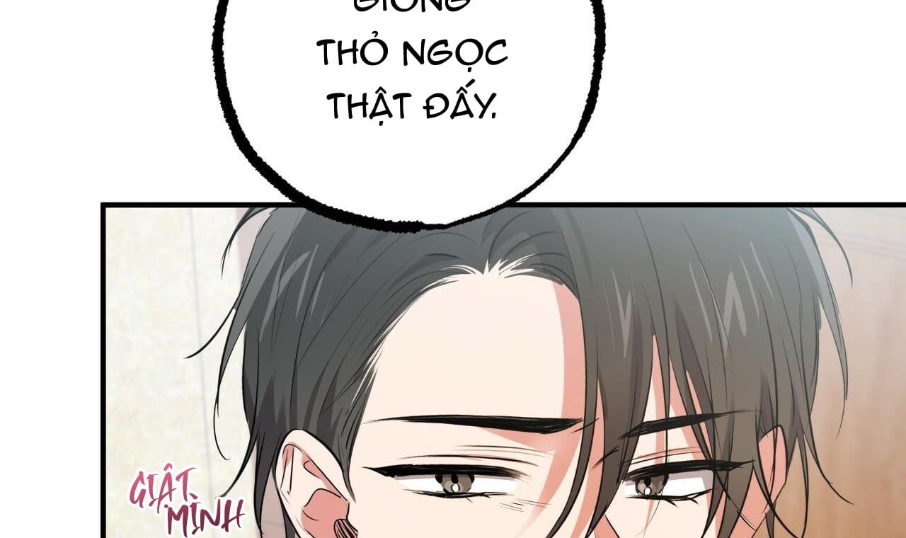 đọc truyện Những Chú Thỏ Của Hapypy Chương 40 ảnh 47 tại Giả Dược