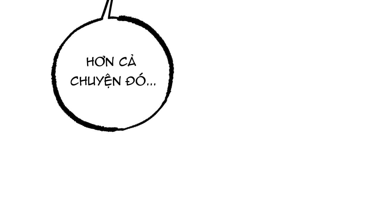 đọc truyện Những Chú Thỏ Của Hapypy Chương 40 ảnh 54 tại Giả Dược