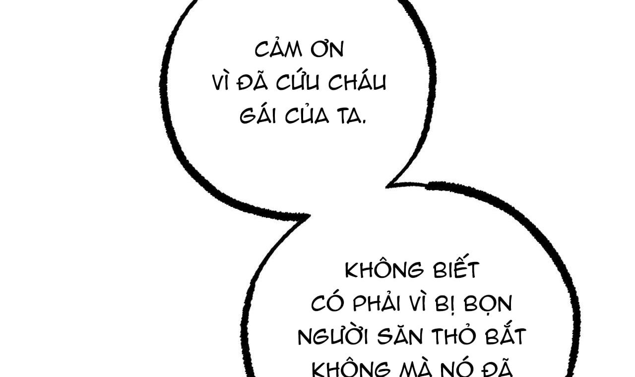 đọc truyện Những Chú Thỏ Của Hapypy Chương 40 ảnh 56 tại Giả Dược