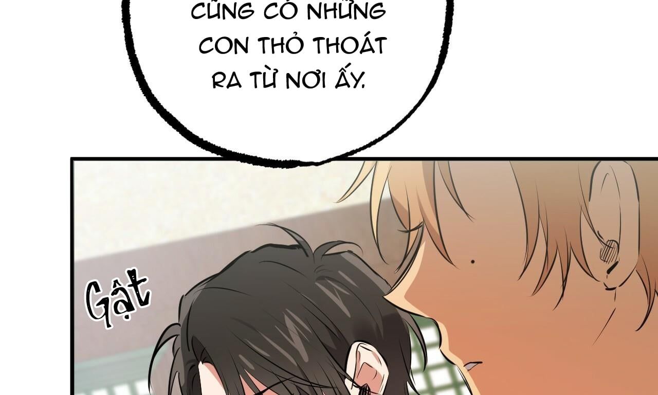 đọc truyện Những Chú Thỏ Của Hapypy Chương 40 ảnh 82 tại Giả Dược