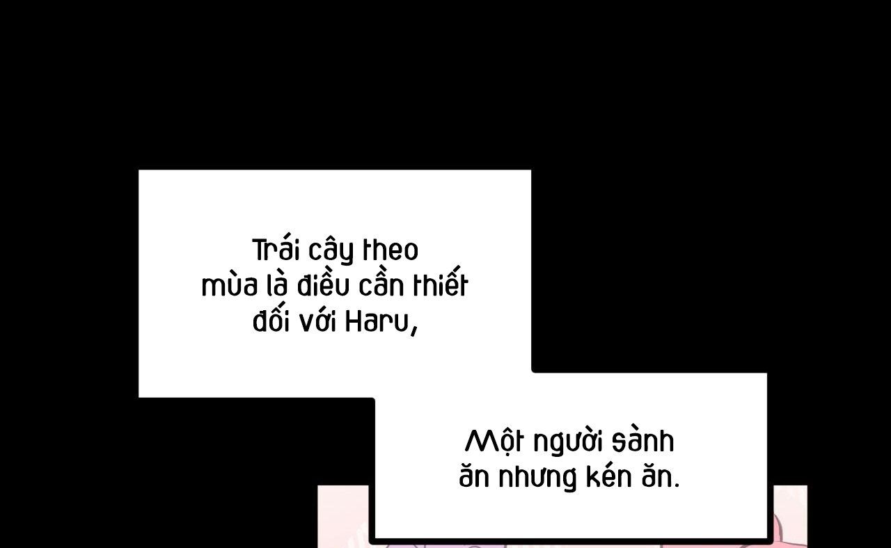 đọc truyện Những Chú Thỏ Của Hapypy Chương 41 ảnh 203 tại Giả Dược