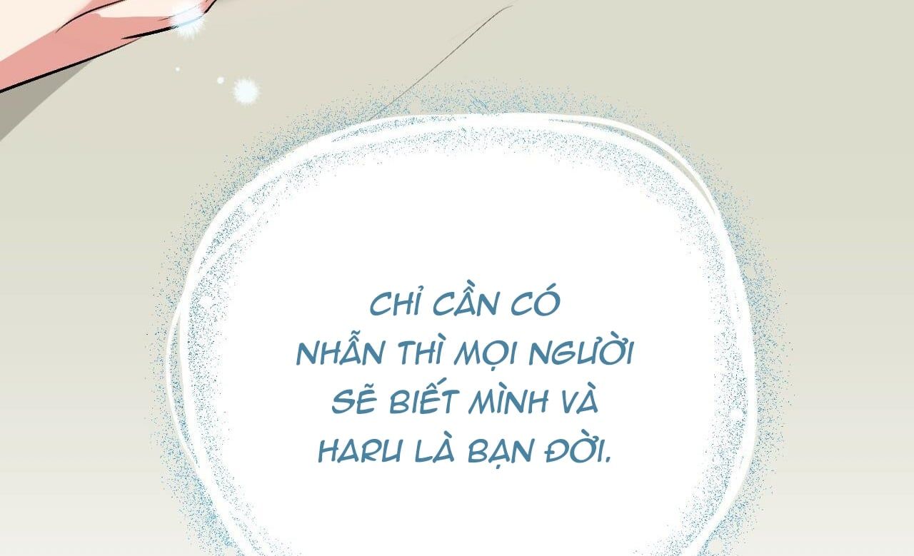đọc truyện Những Chú Thỏ Của Hapypy Chương 41 ảnh 223 tại Giả Dược