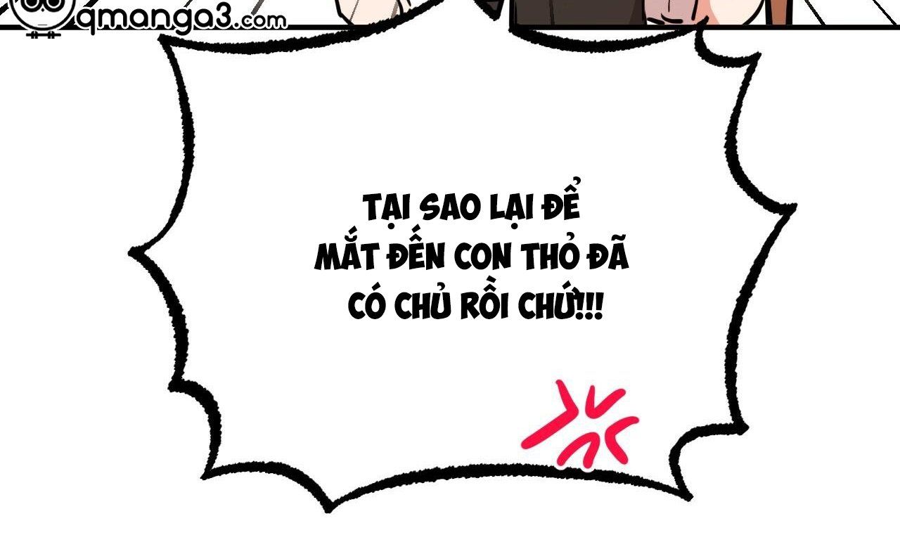 đọc truyện Những Chú Thỏ Của Hapypy Chương 41 ảnh 26 tại Giả Dược