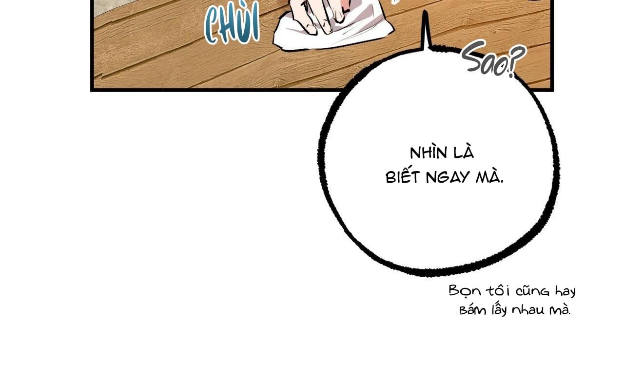 đọc truyện Những Chú Thỏ Của Hapypy Chương 41 ảnh 54 tại Giả Dược