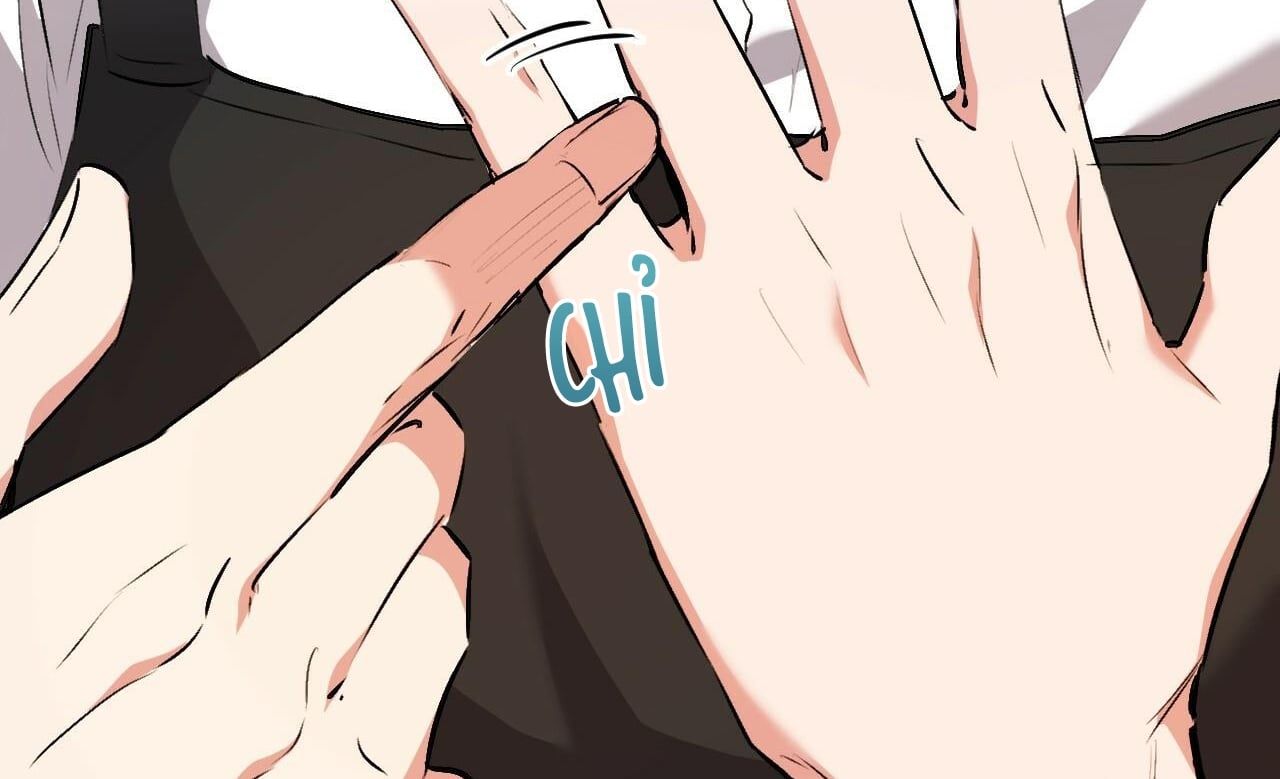 đọc truyện Những Chú Thỏ Của Hapypy Chương 41 ảnh 65 tại Giả Dược