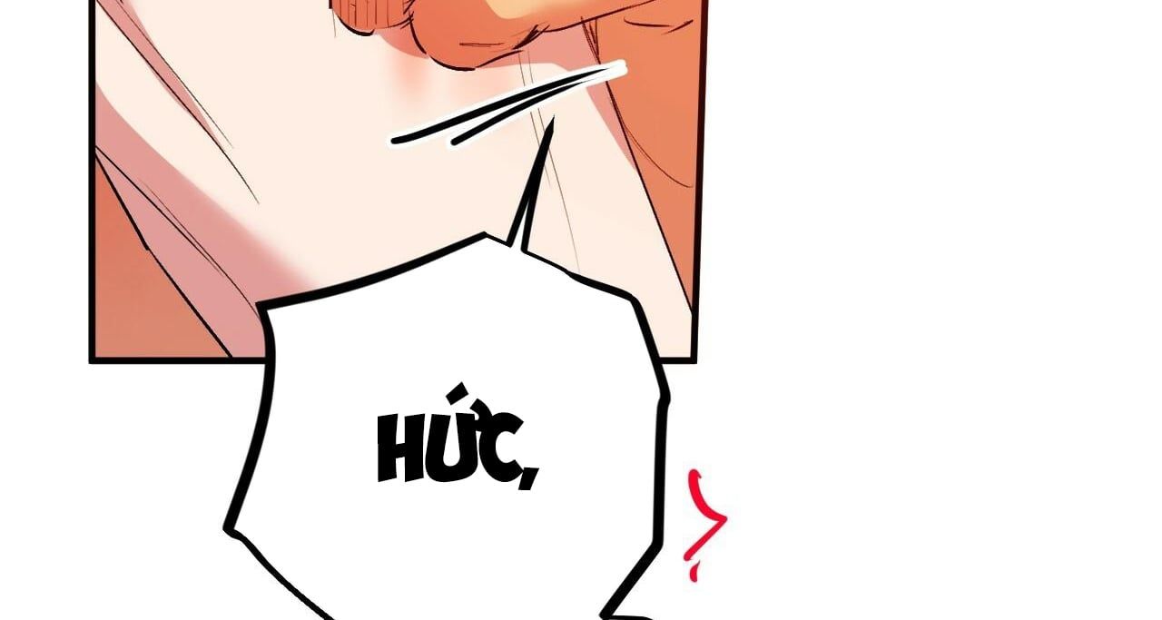 đọc truyện Những Chú Thỏ Của Hapypy Chương 43 ảnh 177 tại Giả Dược