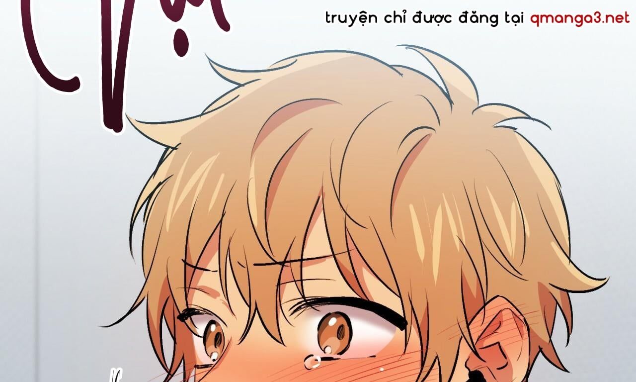 đọc truyện Những Chú Thỏ Của Hapypy Chương 43 ảnh 189 tại Giả Dược