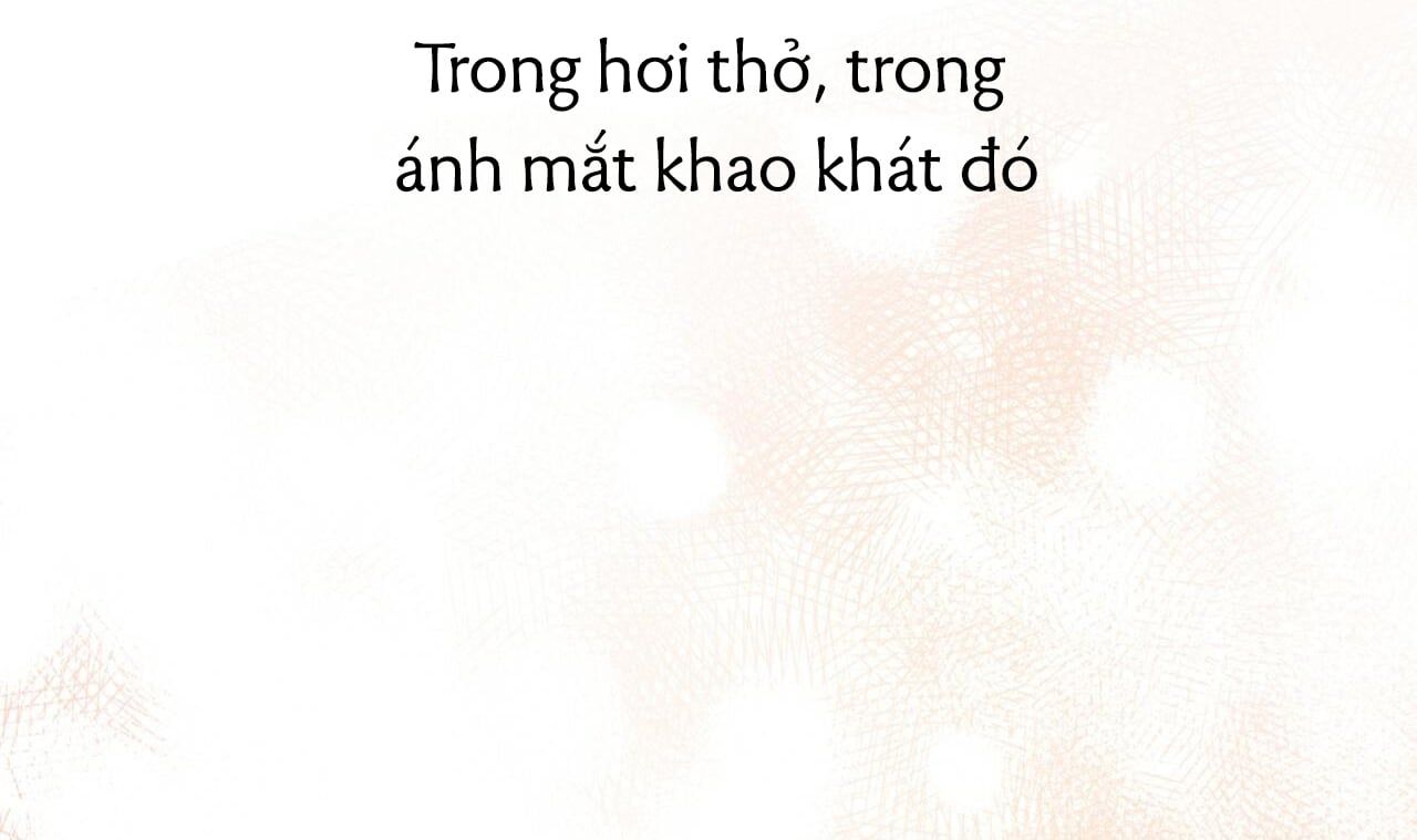 đọc truyện Những Chú Thỏ Của Hapypy Chương 43 ảnh 209 tại Giả Dược