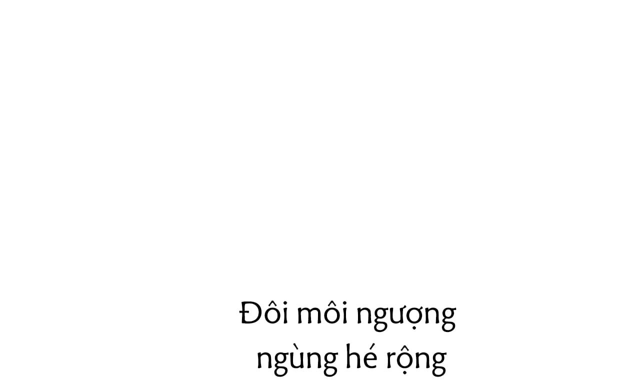 đọc truyện Những Chú Thỏ Của Hapypy Chương 43 ảnh 212 tại Giả Dược