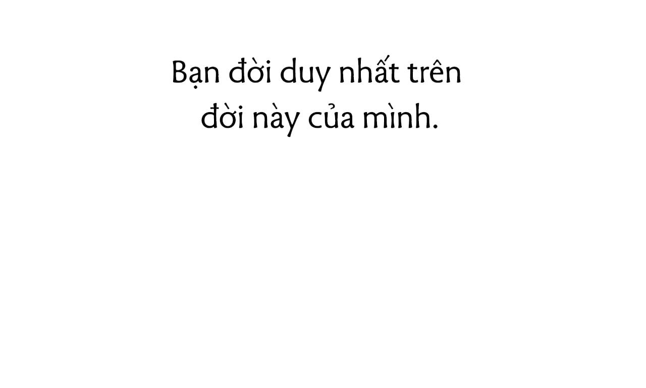 đọc truyện Những Chú Thỏ Của Hapypy Chương 43 ảnh 254 tại Giả Dược