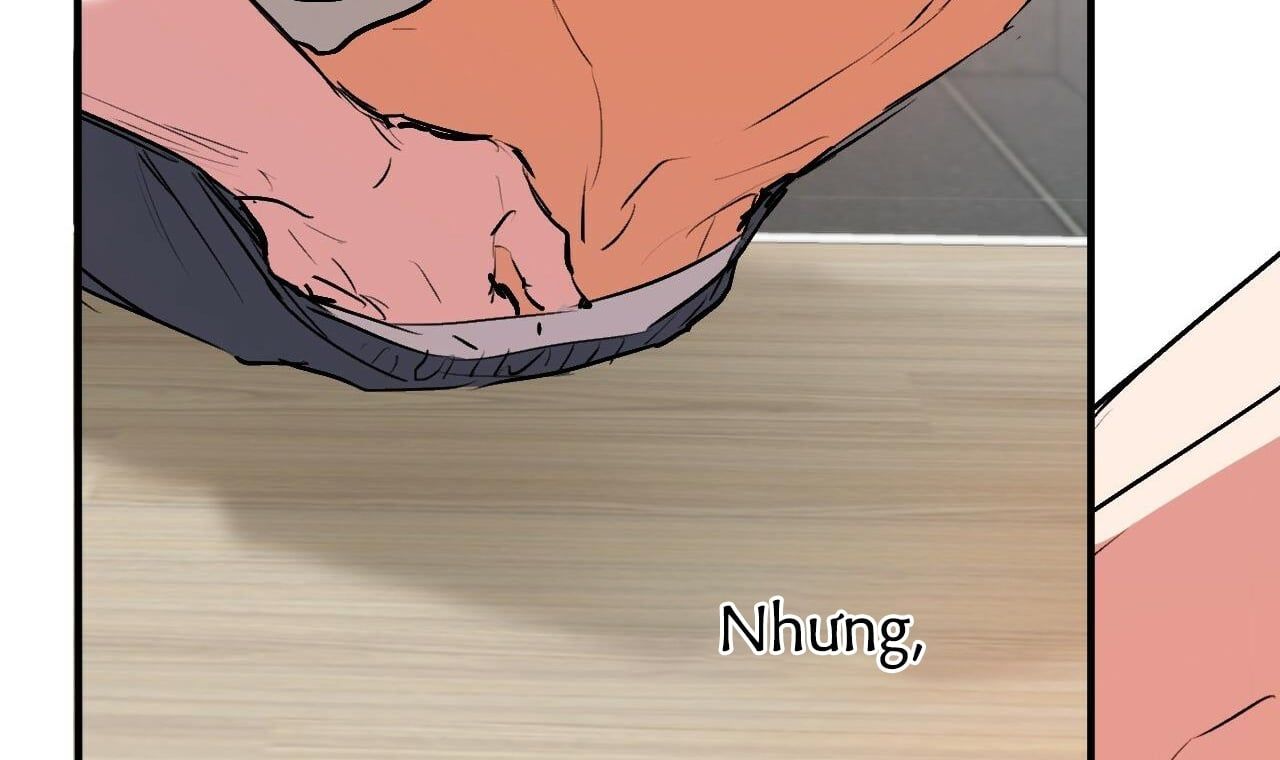 đọc truyện Những Chú Thỏ Của Hapypy Chương 43 ảnh 47 tại Giả Dược