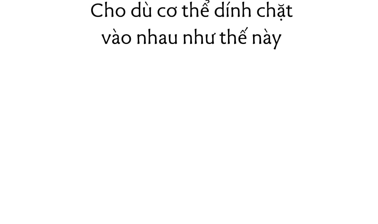 đọc truyện Những Chú Thỏ Của Hapypy Chương 43 ảnh 52 tại Giả Dược