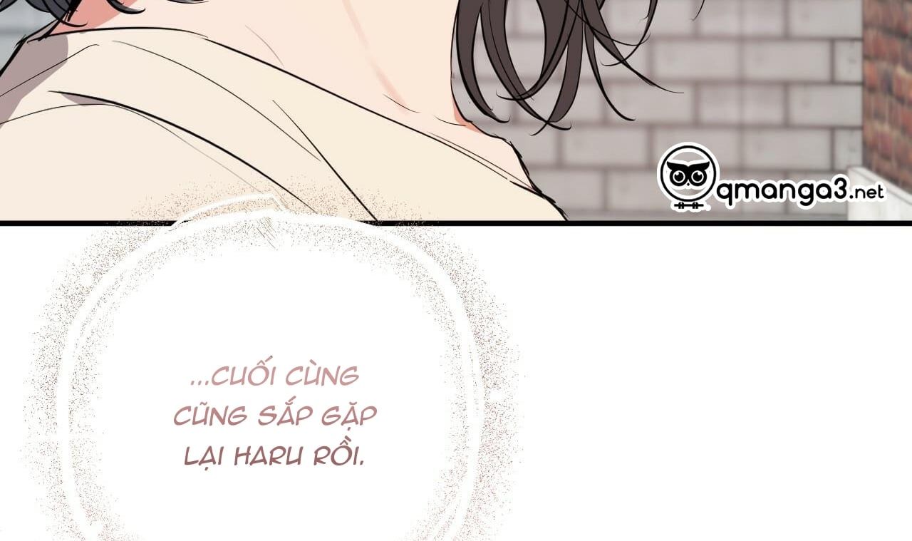 đọc truyện Những Chú Thỏ Của Hapypy Chương 44 ảnh 174 tại Giả Dược