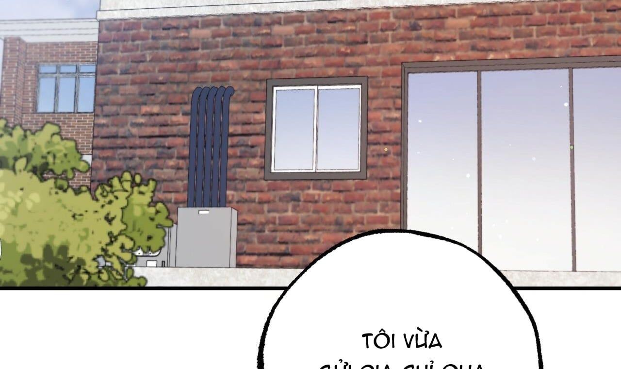 đọc truyện Những Chú Thỏ Của Hapypy Chương 44 ảnh 217 tại Giả Dược