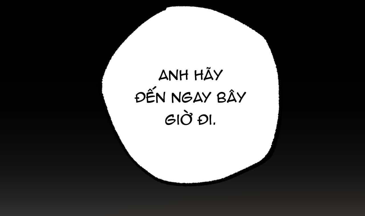 đọc truyện Những Chú Thỏ Của Hapypy Chương 44 ảnh 222 tại Giả Dược