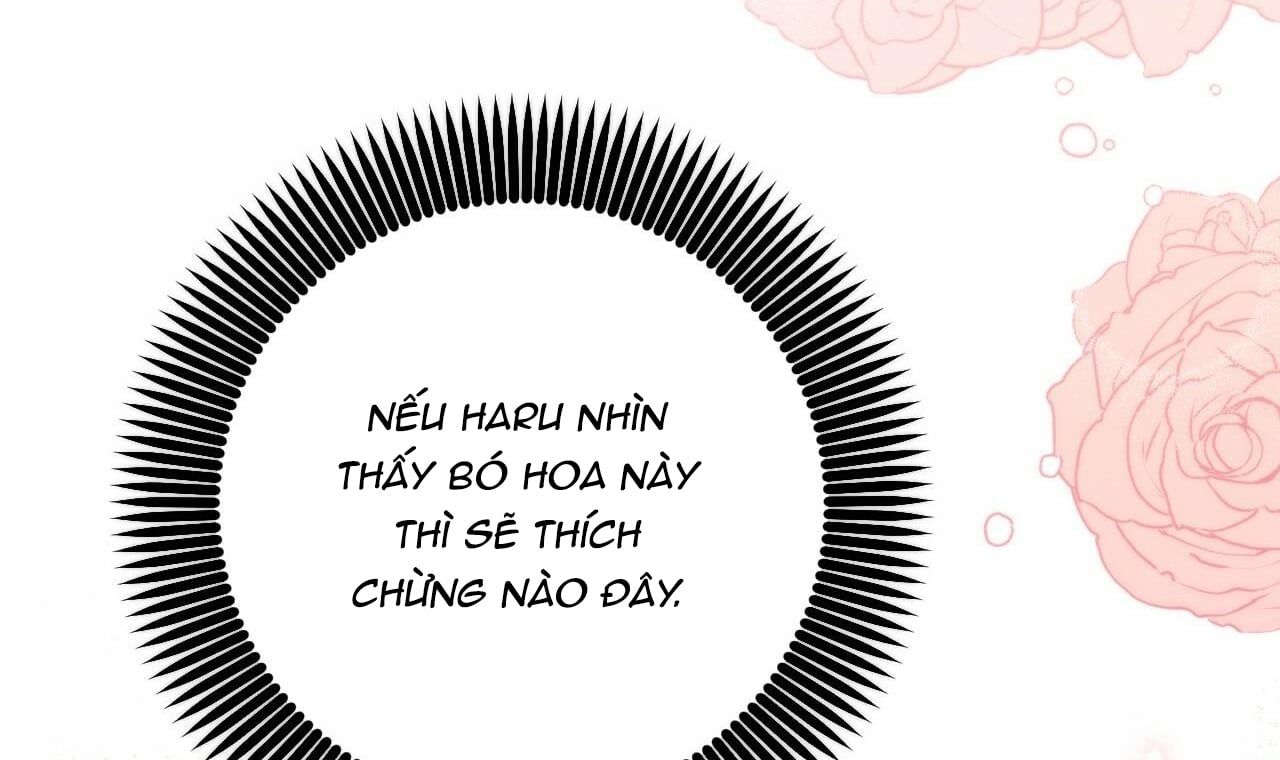 đọc truyện Những Chú Thỏ Của Hapypy Chương 44 ảnh 232 tại Giả Dược